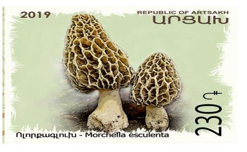 Ներմուծեք նկարագրությունը_2398